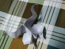 没有彩纸。。。见谅。