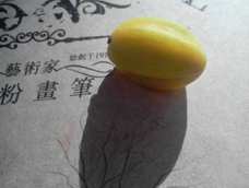 杨桃？（像葡萄干23333