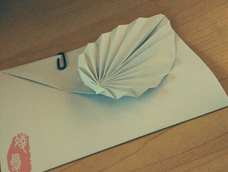 叶子信封🍃🍃