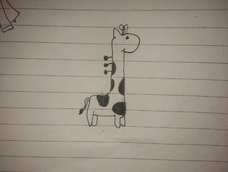 没有彩色笔，只能用黑笔代替一下啦