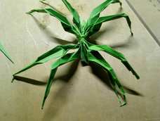 还是有差距哇😭😱