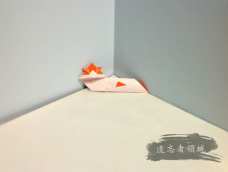 折纸 筷袋
一纸成型，不剪不切。
[教程引导]