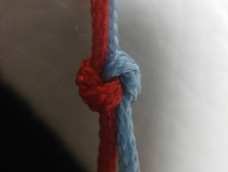 学习了。对不对