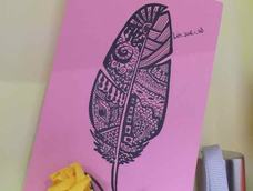 感觉还不错。。。羽毛!