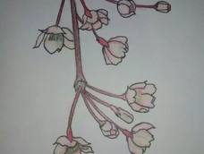 本来还好,上色后残了。