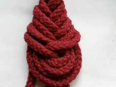 看了女医明妃传，就想学！