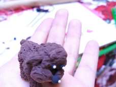 手掌心的泰迪。