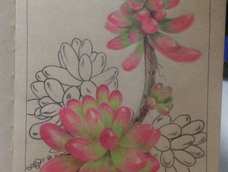 虹之玉彩铅手绘~