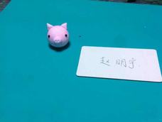 小猪🐷。