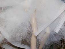 做的不好，请见谅！还是楼主做的好！！