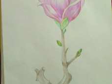 彩铅颜色比较浅