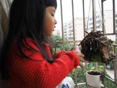 太难做了，累死我了！房子周边铺青苔，里面放农田里挖的草。