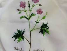 新手，第一次作品，