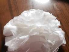 后天学校去踏青扫墓