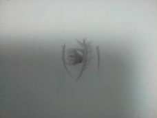 这个眼睛好传神😊
感觉好像还不错😄