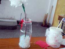 清明节用的小白花