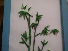 竹，很感谢谷茉的教程哦！勾边挺难