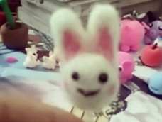 耳朵做大了😉😉