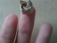 当当当！迷你玫瑰成功出炉～