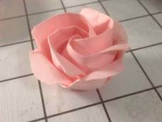 其实这个只是川崎玫瑰多了四片花瓣，它的底部是空的啦！