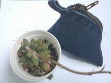 零钱包,手工缝的,里面也是牛仔,缝到手痛,请忽略我渣渣的手艺。