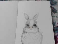 渐变的感觉怎么画  总感觉兔子有点不对