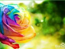 七彩玫瑰，体会美丽生活，
喜欢的朋友可以尝试制作。