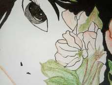 海棠花醒,彼岸花绽,陌上花开。