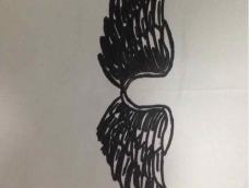 我画了一对翅膀