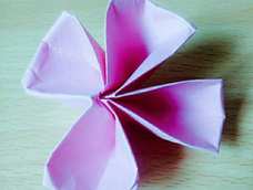 这才是四叶草，OK?