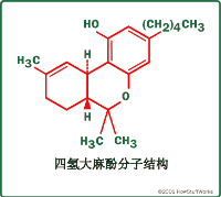 带头大哥