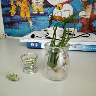 一个牛皮纸的垃圾