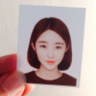 魚