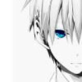 日光倾城谁为你停留一世