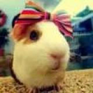 旧序抵不过回忆