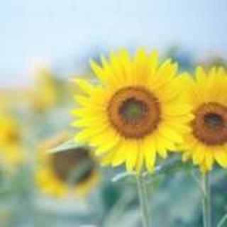 瘦瘦瘦瘦瘦成闪电---