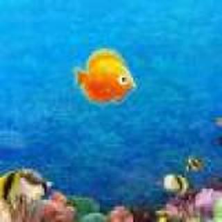 浅笑丶迷离