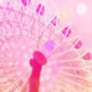 べ静待_花开
