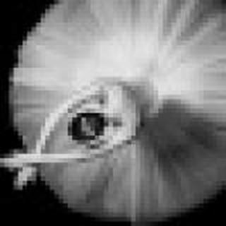 暖笠笠的小喷油