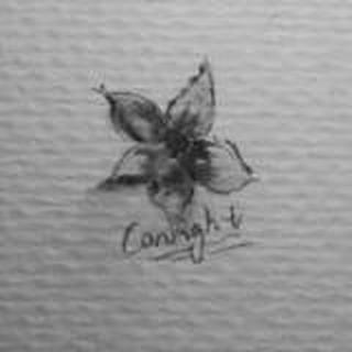 Conight
