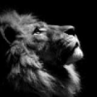 我是标准的00后