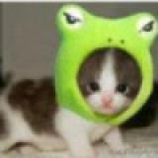 四叶三叶草