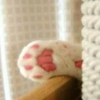 -浮生-若夢------