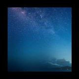 麋鹿迷失在丛林i