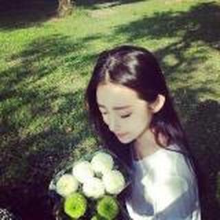 梦歌 