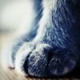 風一縷¨醉滿樓