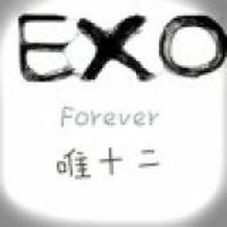 Exonlyone※唯一※