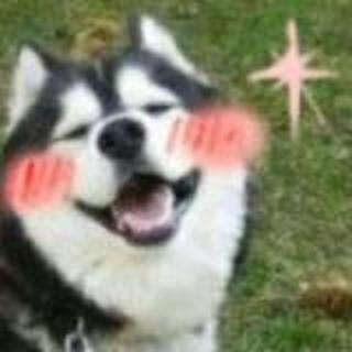 壮哉大业火