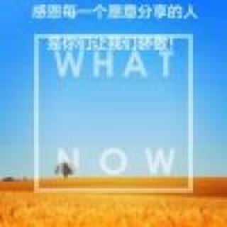 在迷茫中寻找人生