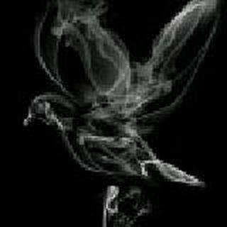 |。…！…？…。|